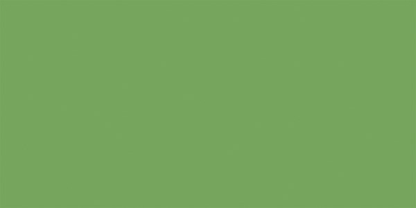 Prachtige wandtegel in de kleur groen van Dannenberg Tegelwerken