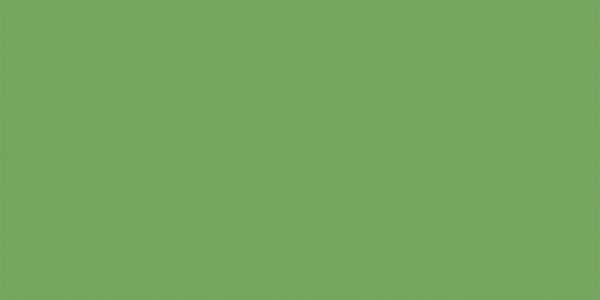 Natuurlijke wandtegel in de kleur groen van Dannenberg Tegelwerken