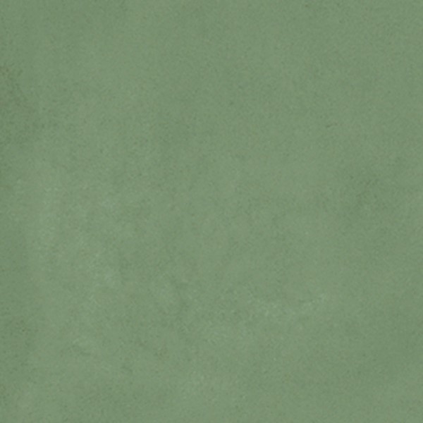 Prachtige vloertegel in de kleur groen van Tegelwerken Van Wezel | Tegelhandel en Tegelzetter