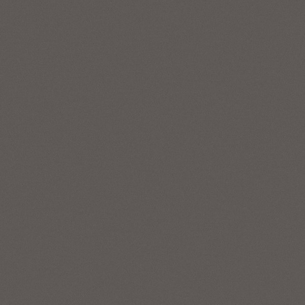 Robuuste vloertegel in de kleur antraciet van Brabant Tegels Elshout