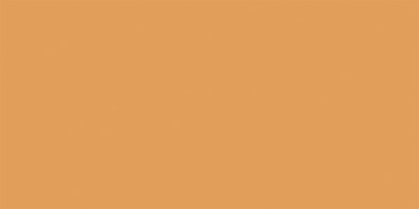 Mooie wandtegel in de kleur Oranje van Dannenberg Tegelwerken