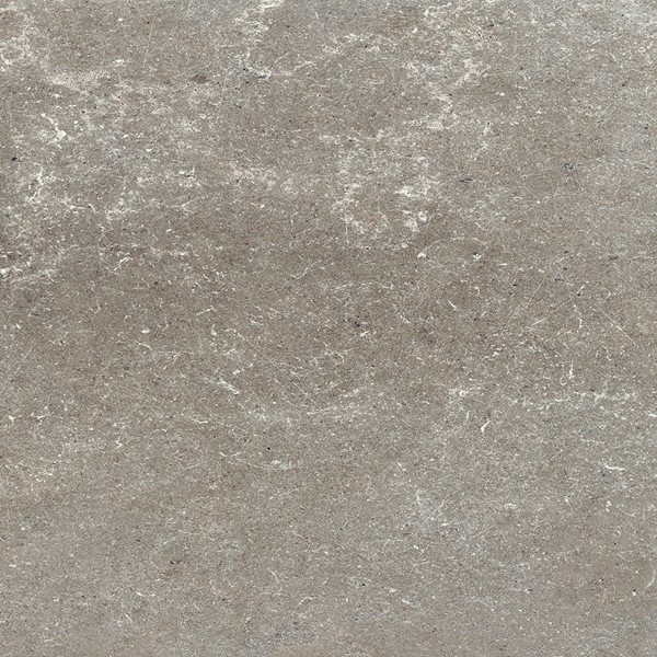 Sierlijke vloertegel in de kleur grijs van Berenpop