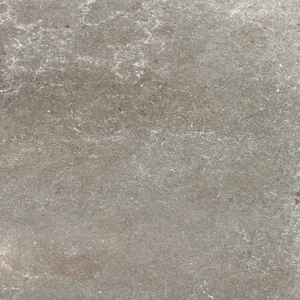 Prachtige vloertegel in de kleur grijs van Maastegels