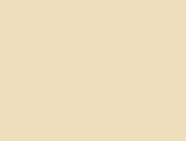 Sierlijke wandtegel in de kleur beige van Dannenberg Tegelwerken