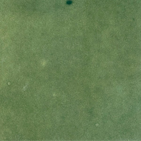 Robuuste wandtegel in de kleur groen van Brabant Tegels Elshout