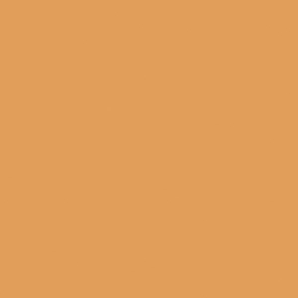 Sierlijke wandtegel in de kleur Oranje van Dannenberg Tegelwerken