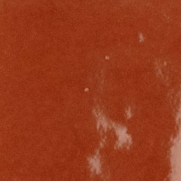 Robuuste wandtegel in de kleur rood van Dannenberg Tegelwerken