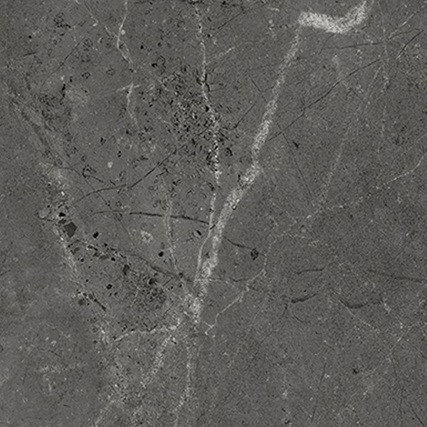 Sierlijke vloertegel in de kleur zwart van Gijsberts tegels, sanitair, badkamers en keukens