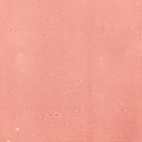 Prachtige wandtegel in de kleur Roze van Dannenberg Tegelwerken