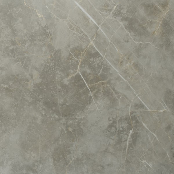 Robuuste vloertegel in de kleur grijs van Brabant Tegels Elshout