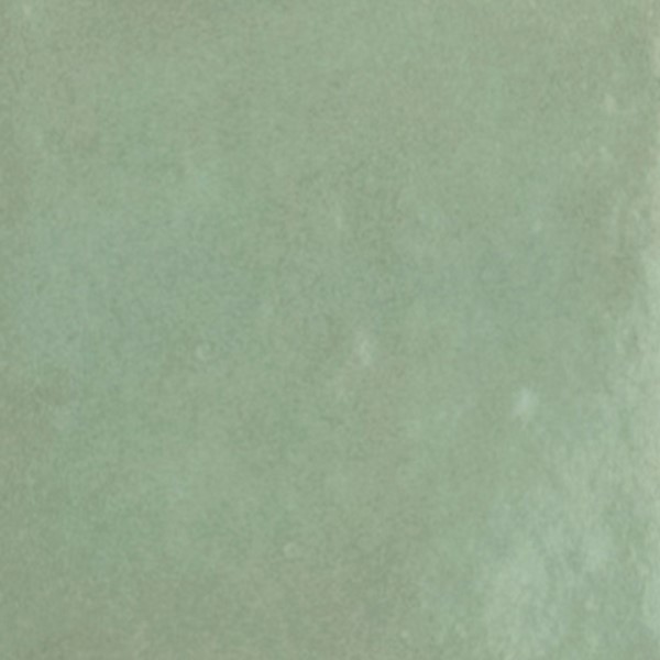 Fraaie wandtegel in de kleur groen van Tegelwerken Van Wezel | Tegelhandel en Tegelzetter