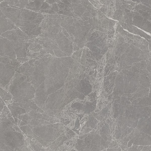Elegante vloertegel in de kleur grijs van Maastegels
