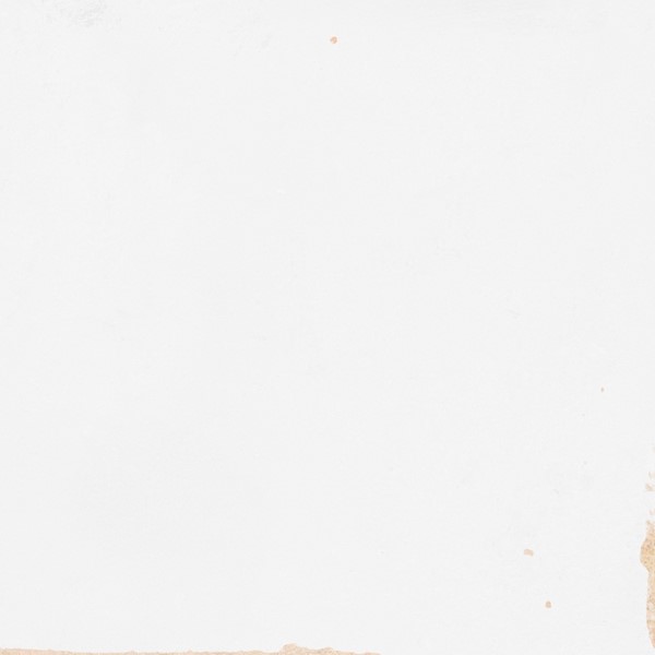 Sierlijke wandtegel in de kleur wit van Brabant Tegels Elshout